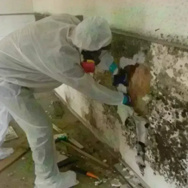 Mold Remediation and Removal in Valdez-Cordova Census Area, AK