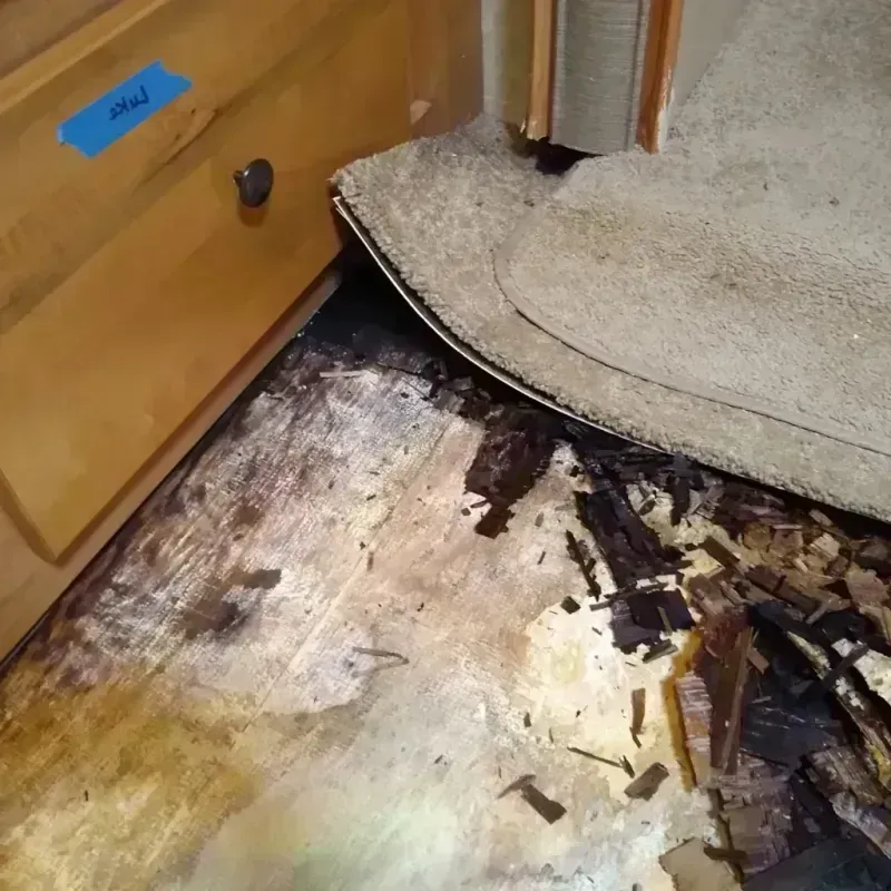 Wood Floor Water Damage in Valdez-Cordova Census Area, AK